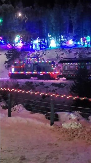 Georgetown Loop Railroad: Santa's Light Forest Train going over Devil's Gate High Bridge.