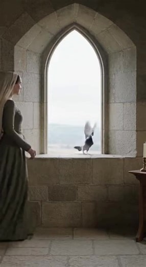 Decko.app @Decko.app