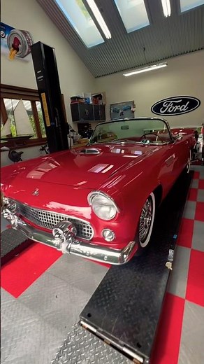 Timeless Beauty! 1955 Ford Thunderbird Turns Heads