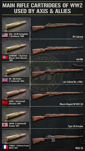 Main Rifle Cartridges of WW2 | Axis vs Allies Ammunition Explained #Shorts