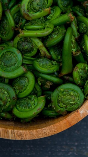 The History of Fiddleheads in Canada The history of fiddleheads is a long one. Like, really long. Also known as the ostrich fern, these twirly little greens date back to the time of the dinosaurs, more than 100 millions years ago. Let’s learn how to pick them and prepare them. #foragedfood #localfood #greatfoodgrownhere #loveCDNfood | Canadian Food Focus