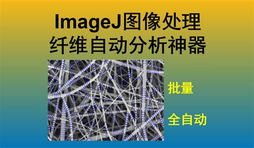 『充电专享』ImageJ图像处理 - 复杂纤维直径的自动测量-DiameterJ