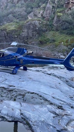 We love the EC130 B4