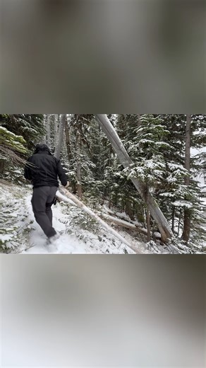 Days Hot Tent Camping in Snow ｜Catch and Cook Fre | Campingskills7