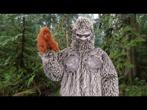 Squatch and Learn About Baby Bigfoots