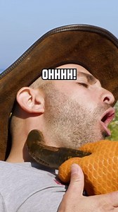 Lamprey attack! Blood-sucking bite