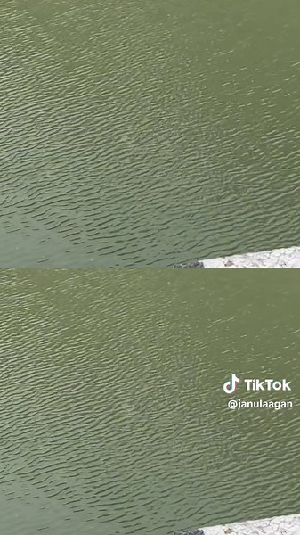 Mamaw Spotted sa Tulay: Angler Fishing Adventure