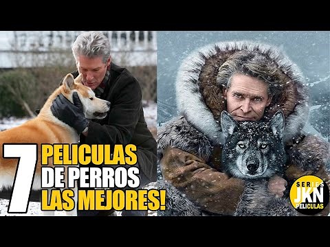 7 Mejores Peliculas de Perros!