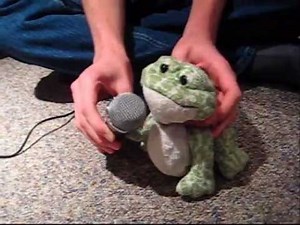 10 Things Your Webkinz Do When You're Not Home