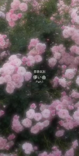 儚い曲集: 心に響くサウンドトラック