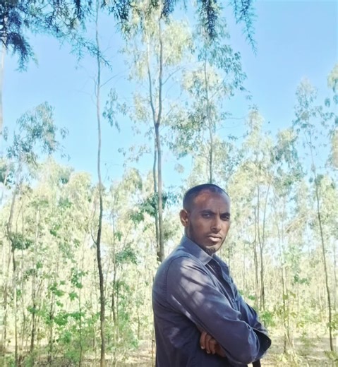 natha (@natha.realshow)’s videos with original sound - natha