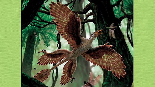 Microraptor