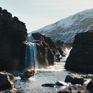 American Express on Reels