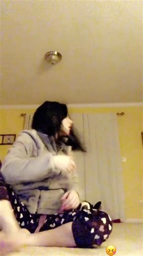 A funny Great Dane. #funnydog #dogsoftiktok #foryou #greatdane #fyp | Great Dane Lovers