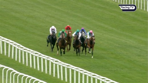 😍 Greenham day awaits at Newbury Racecourse! Frankel won the 2011 renewal. Watch the 2023 G3 Watership Stud Too Darn Hot Greenham Stakes this afternoon live on Racing TV | Racing TV