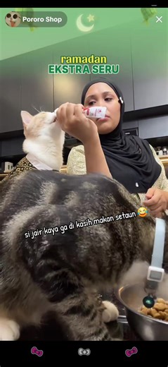 Exploring the Pororo Shop Experience