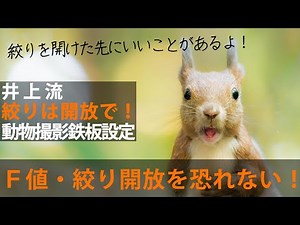 [Photography tips for beginners] Inoue's standard settings for animal photography (aperture)
