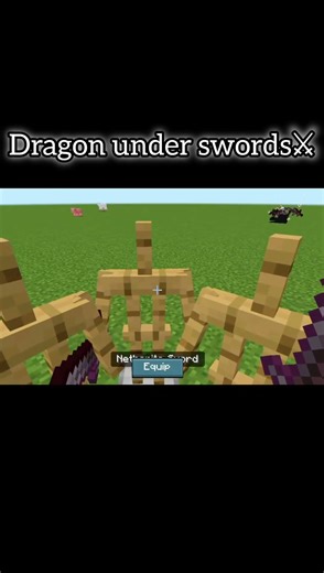 Dragon x Sword#minecraft#shorts