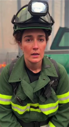 Heroic Tiger Rescue: Saving Lives in the Fire 🐅🔥