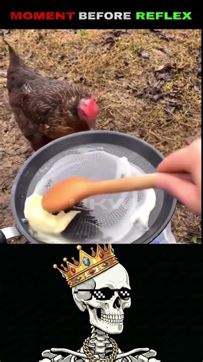 #sonic