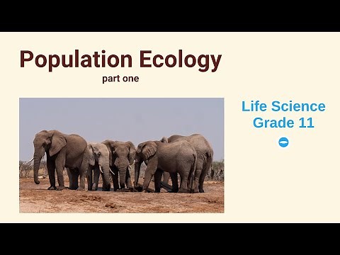 Population Ecology | Life science grade 11 | Factors that affect population size