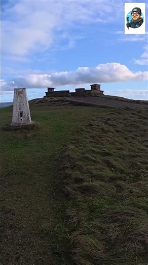 Touching the Trig: A Fun Experience! #shorts