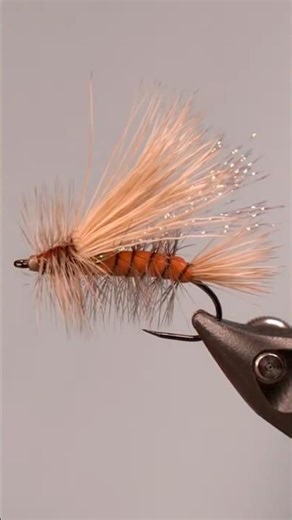 Stimulator for Trout in 60 seconds