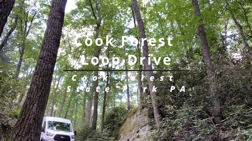 Cook Forest State Park PA Scenic Forest Drive | Wandering Out Yonder