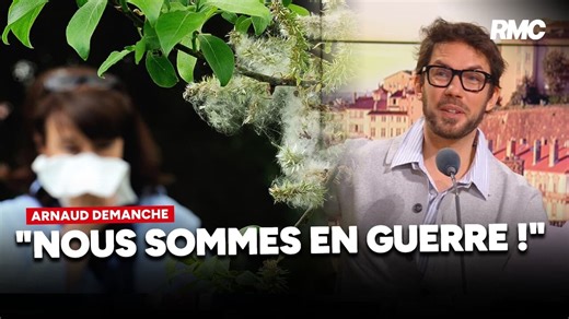 Le retour du pollen... en avance !