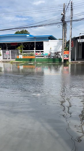 คลินิกเปิดปกตินะครับ แต่ … มาลำบากนิดนึง | คลินิกรักษาสัตว์บ้านรักสัตว์ ลพบุรี