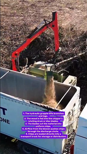 Powerful Wood Chipper in Action – Turning Branches Into High-Quality Wood Chips