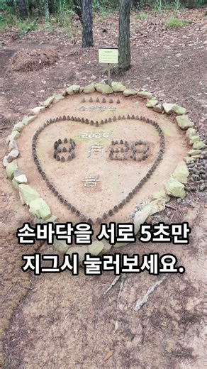 오늘도 움직임 완료! 8월 28일 솔방울 달력
