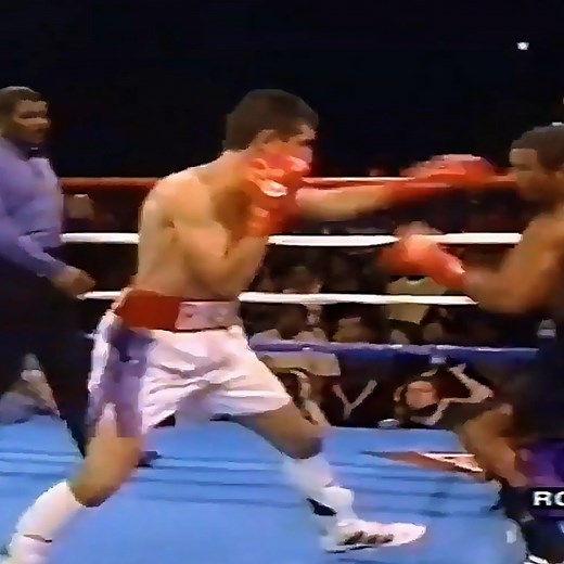 Shane Mosley vs Wilfredo Rivera Highlights | Street Fight Europe