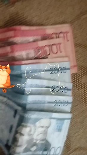 How to Organize Your Banknotes Effectively
