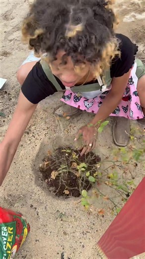 Happy Sunday from the Boss and I. I got out of church and straight in the yard. I don’t think the Boss is too happy about the noses coming from the ducks but he said it was “SWEEP” 😂 everything kinda got neglected when I got sick but my roses are officially in with a little extra love to hopefully get them back on track! I even had a little friend hanging around all day— which is ironic… but I’ll keep that surprise a secret #lifestyle #homesteadlife #farmlife #homestead #countrylife #countryliv