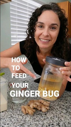How to feed your Ginger Bug | Fermentation Adventure #shorts #fermentation
