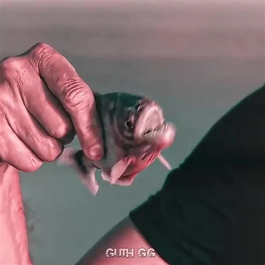 #Welcome to Gboard clipboard any text that you copy will be saved hare