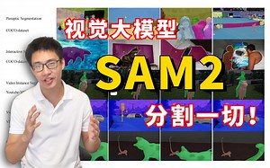 分割一切的大模型SAM终于出2.0版本了！从环境部署到论文解读再到代码复现同济大佬逐句解析，用讲故事的方式讲的透透的
