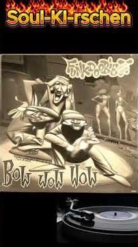 Funkdoobiest bow wow wow 60s Soul Version #hiphop #foryou #90shiphop #90sthrowback #soulversion