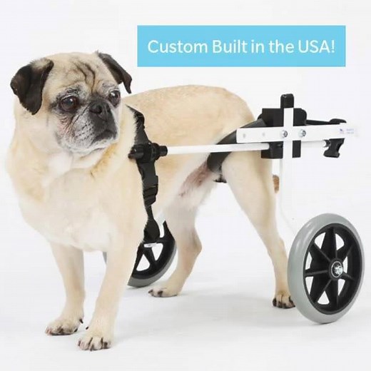 The K9 Carts Dog Wheelchair. Patented, Fully Adjustable, and Custom Made in the USA. | K9 Carts
