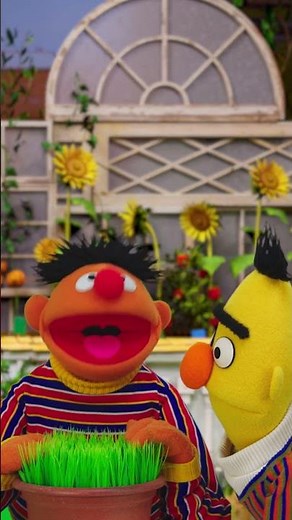 Ernie Touches Grass #sesamestreet