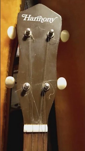 Daves rare finds today. Vintage 4 string harmony banjo farm fresh
