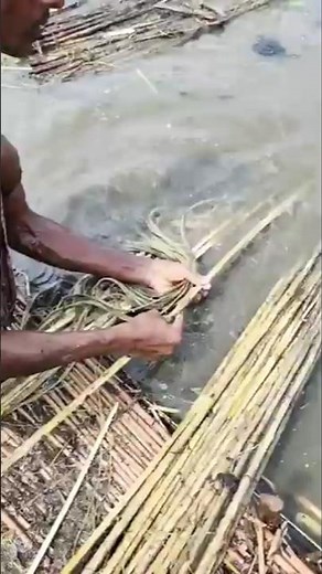 How Jute Fiber is Made #jutefibre #jute #manufacturing #how