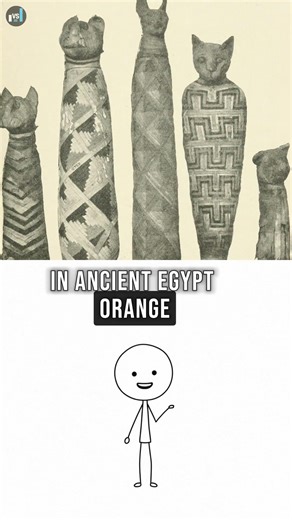 Why Orange Cats Exist (It’s Not Random) #science #cat #egypt