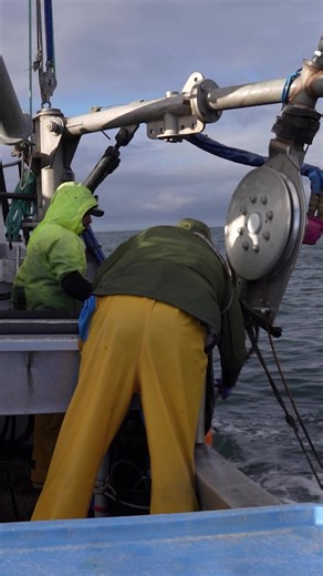 Elevate your weeknight dinner from "grocery store average" to Alaskan Extraordinary. 🏔️ Skip the fish counter and bring the pristine North Pacific to your table. Clean, sustainable, and 100% wild-caught. 🌊 | Wild Alaskan Company