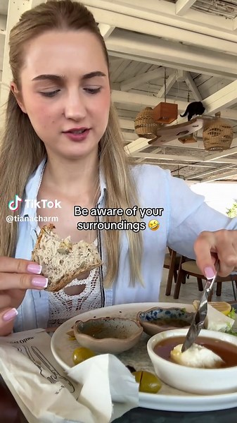 Funny Cat Surprise: A Hilarious Turkey Moment