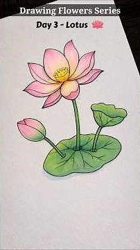 How to draw a flower | Lotus Flower Drawing Easy 🪷 #shorts #drawing #art