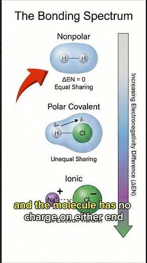 The Perfect Bond: Nonpolar Covalent Explained 🤝 #science #biochemistry #chemistry