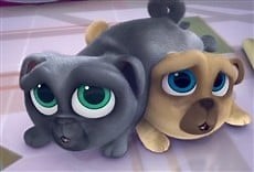 Puppy Dog Pals - Disney Jr Online
