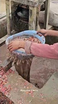 Transforming Tons of Plastic Waste into New Life! ♻️😱 #shorts